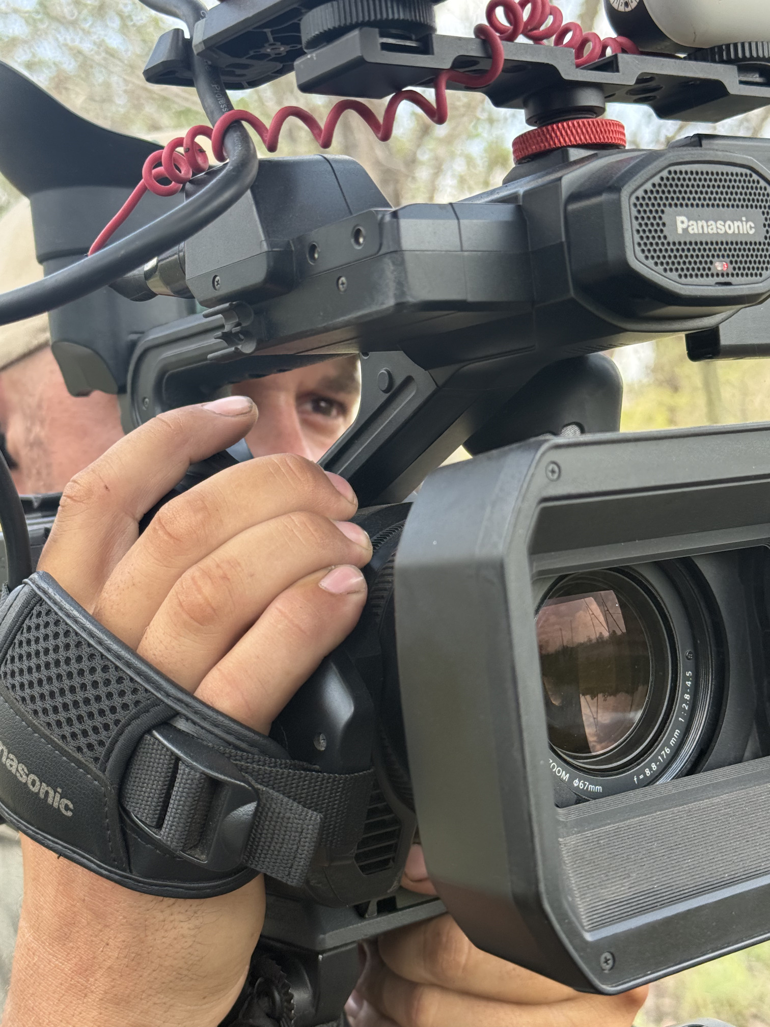 Safari cinematography 2